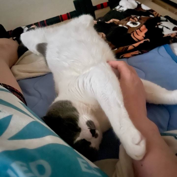 E5043243 cbc2 44fc b734 388edec4faa9 1753833712954