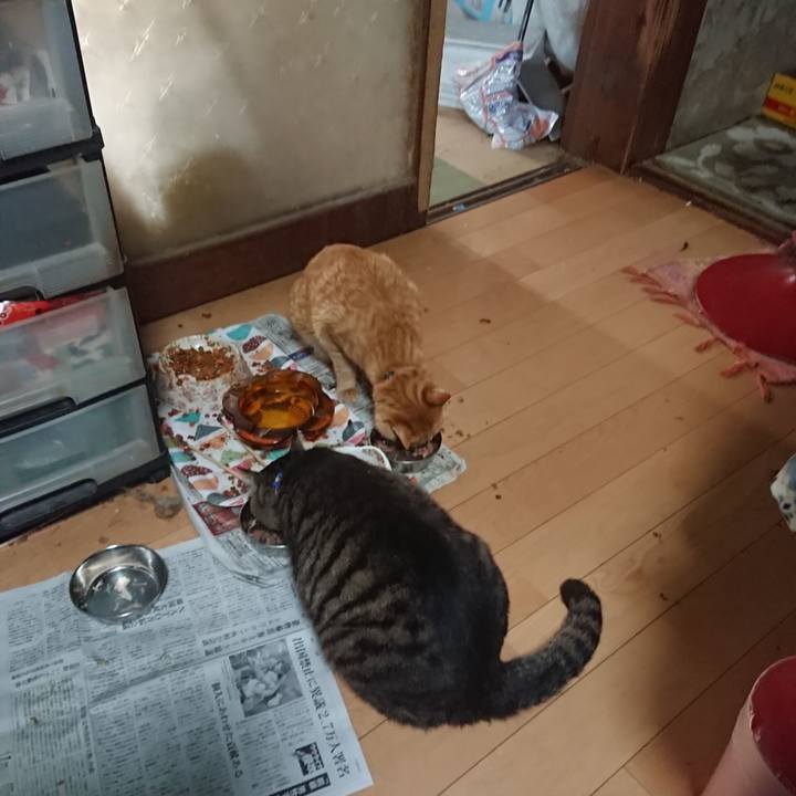 E5043ce2 461e 4536 acae 2ccb8a1af0d3 1655851380628