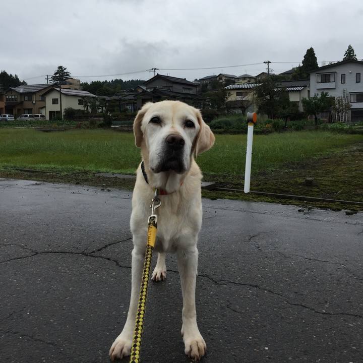 E50440d3 9d1a 4e1d a9ae de83559a548f 1538305997570