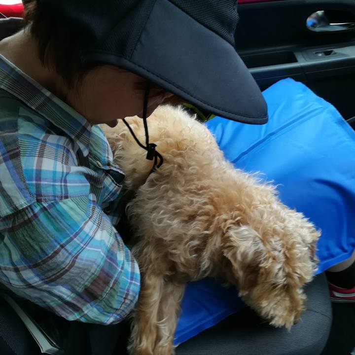 E50445e1 c805 4772 947b f694cf6d701c 1532056712977