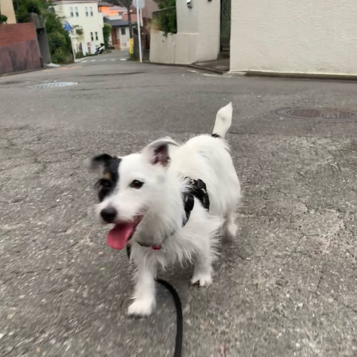 E5045e02 cc4c 4a6d b58f 5aed3677324e 1695975645164