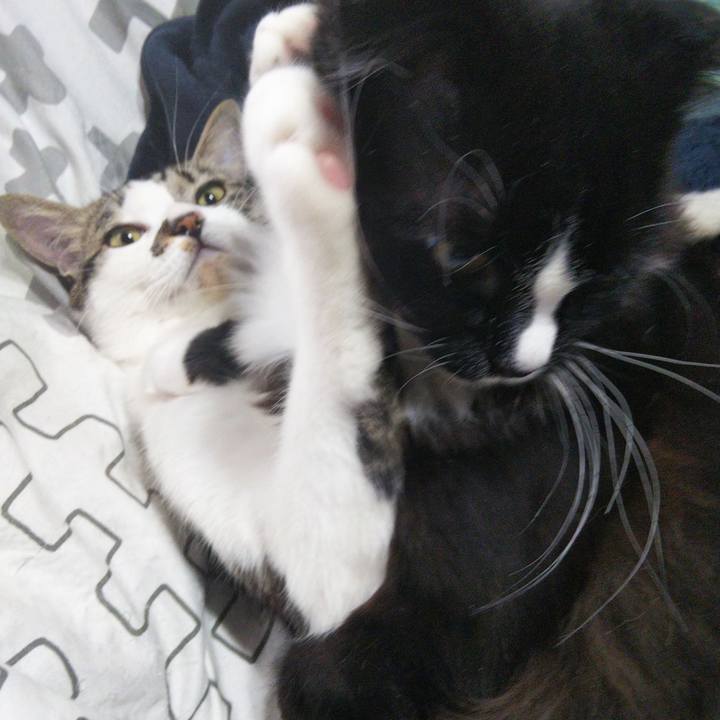 E504602e 48e6 4db4 b1c5 207a98edda7f 1644118637952