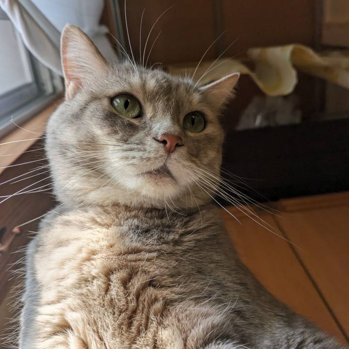 E5046314 fed2 40d5 bf43 7c6ee5bb7c3a 1690258773374