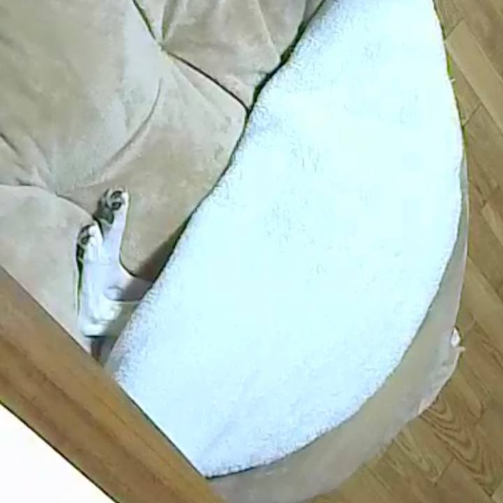 E5048d47 9baf 4858 9ed6 5fe27be9d49b 1668492737476