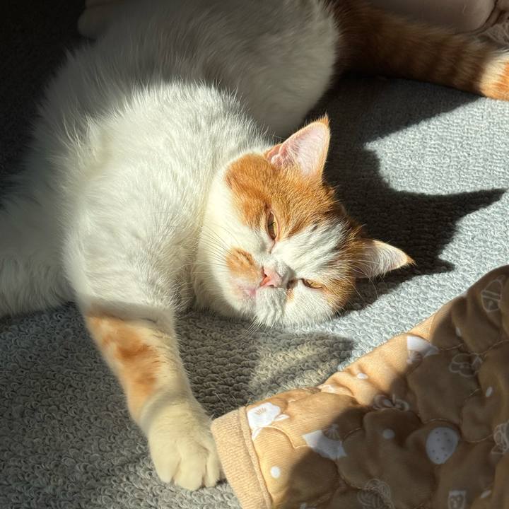 E5049a8c 28c1 4d00 8d7a 72af89945286 1771118890421