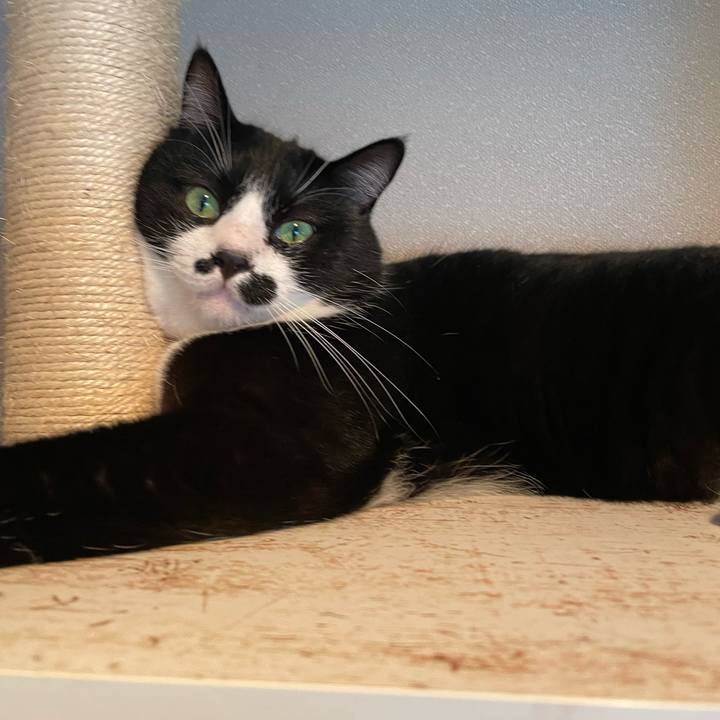 E504b4a6 a48d 409f 9042 24ca1d5a2f2b 1694385986227