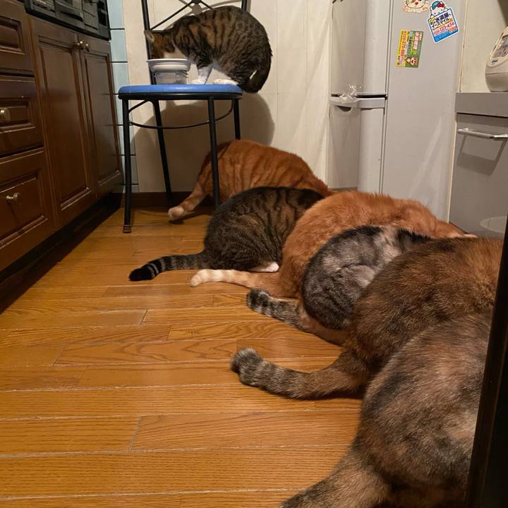 E504c874 61d9 4f20 9862 365410af9ae5 1614675477213