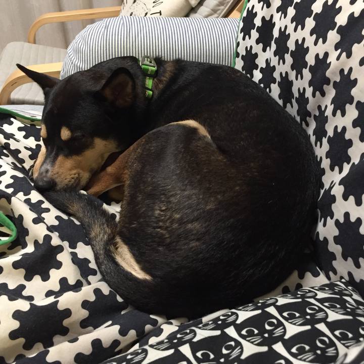 E50539be abba 4c41 838a aae04d2eaaf0 1541339786917