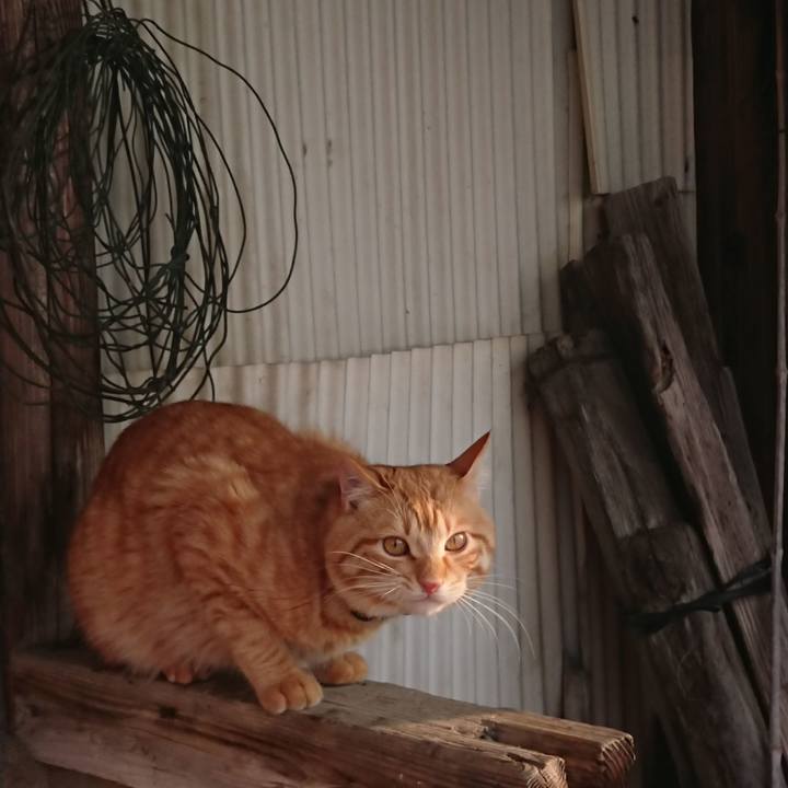 E5055e9a 543e 43fe bb4a abcc15d6a6e8 1645916510904