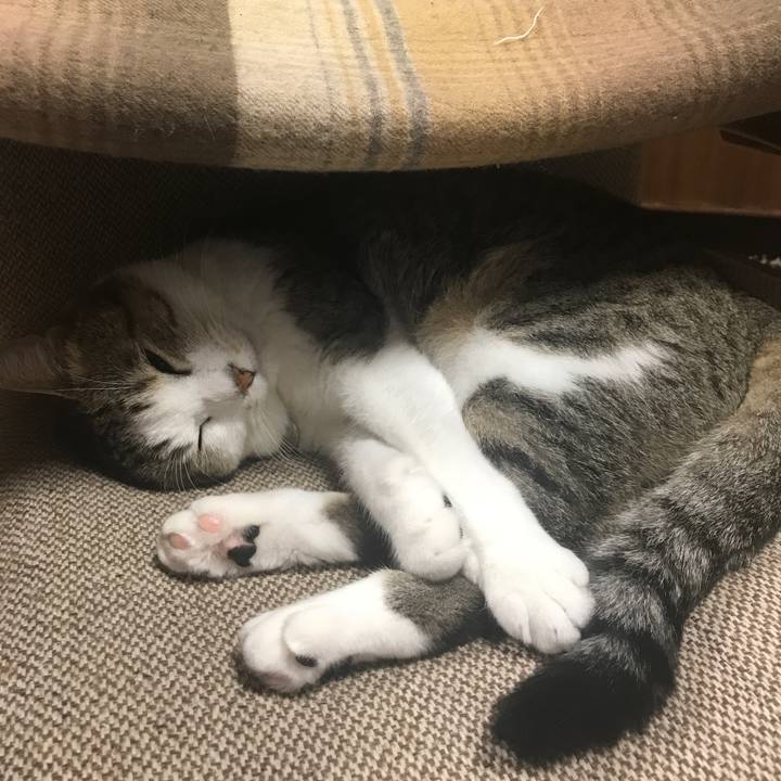 E50566a9 9530 4ba4 ad3a 97991425d1a8 1569125692430