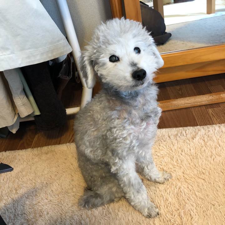 E5058551 c1ed 4378 917d 191f63f70130 1617668109948