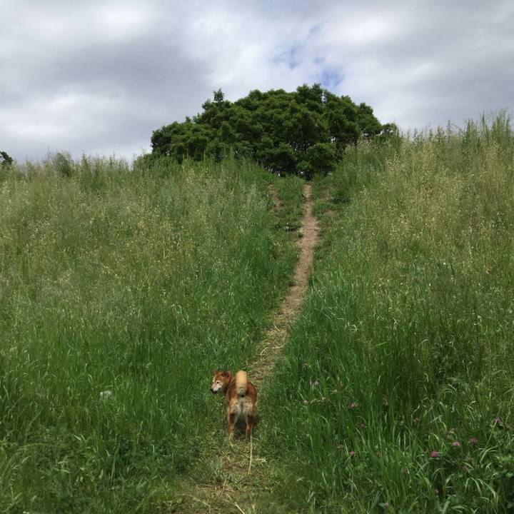 E5058f27 a99d 49ce ba02 819a26986f47 1557199963774