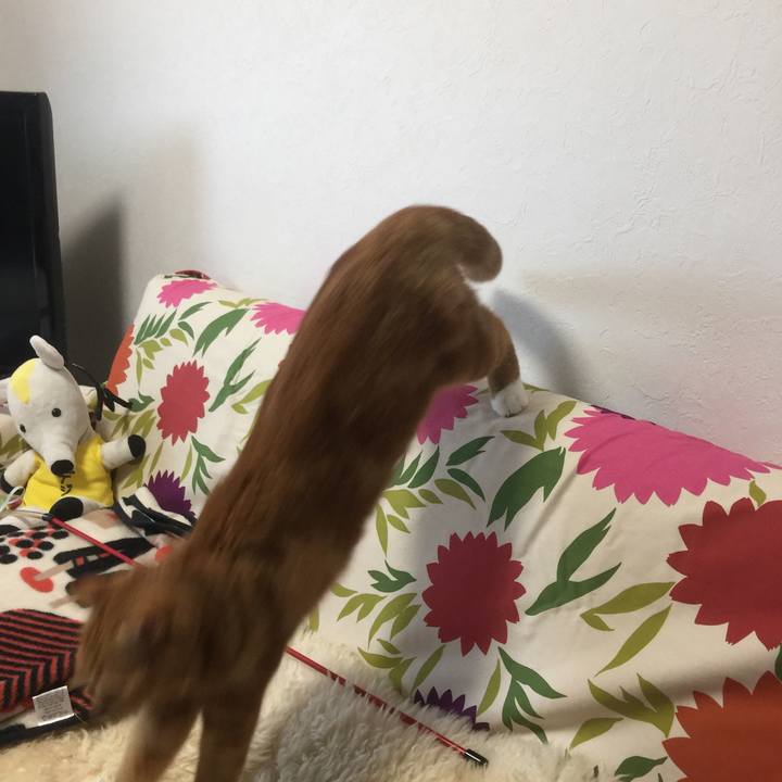 E5059b88 ed6d 49d8 83db 853906c4ff38 1534377266323