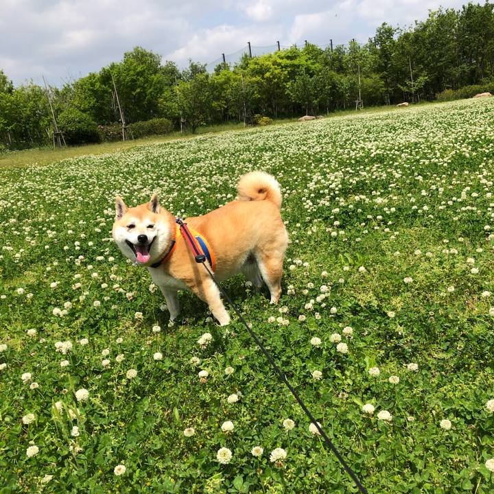 E505e636 d956 4e93 8d7e 226066bed79b 1556802993452