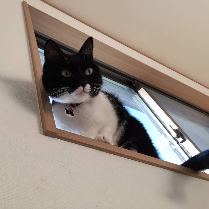 E506156d 0fd6 40e6 b1cd 1747d9409732 1543109676820