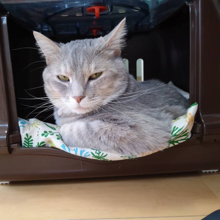 E5061bc9 be34 4716 90f5 9e0608064c9d 1561945276376