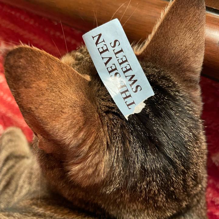 E5062c3e e452 445b 93f7 045998fa6f31 1647178758510