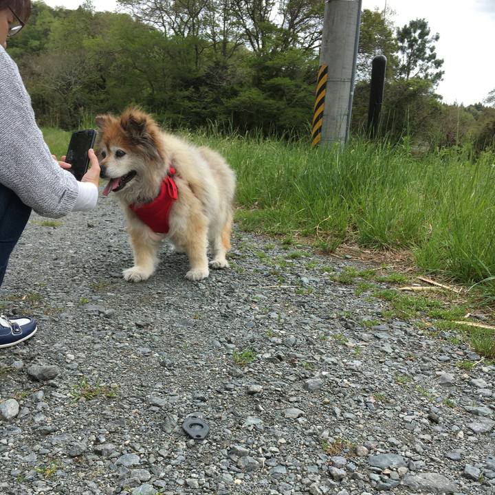 E5062fd9 d2dd 468c af6b ee1edd26650f 1556682709386