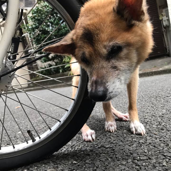 E50650c2 650c 4aa2 b5e4 a115ec5c831a 1568412256261