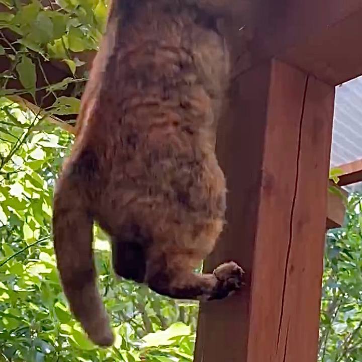 E50656fe d85a 4c34 9e5d 68dfcc3642cf 1756451537993