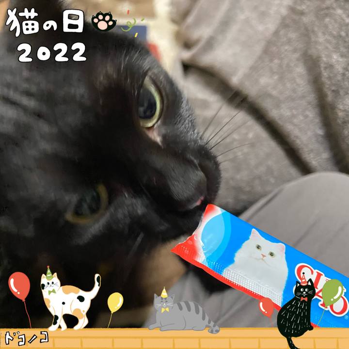 E5065729 424a 428d b49c b3e352ac1155 1645535582164