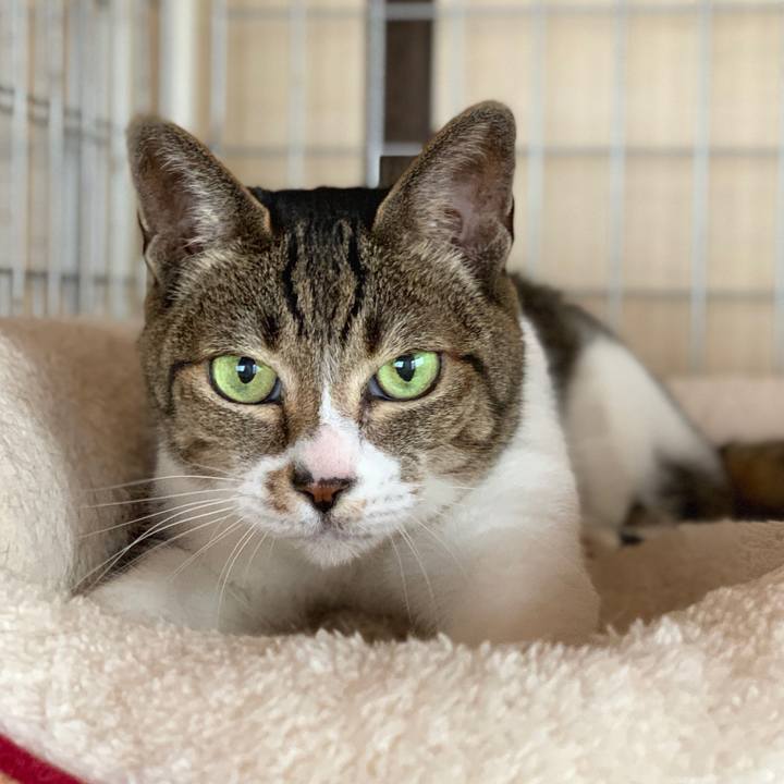 E5065989 1d96 4f99 bbda d5c0e6bdfca1 1589935328015