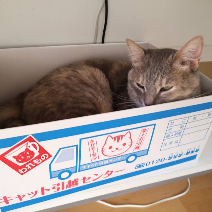 E5066136 047d 4200 a6e4 50ed9807ca11 1557211238784