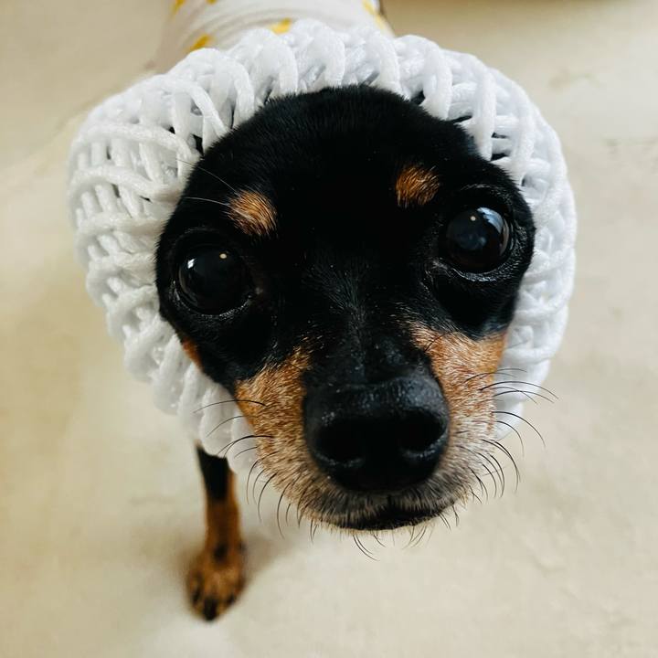 E5066a16 edc9 4308 b5ab c0a116942d91 1748294495029