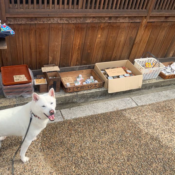 E5066b76 976a 4eb1 a5c9 909cc6cce90b 1559951114831