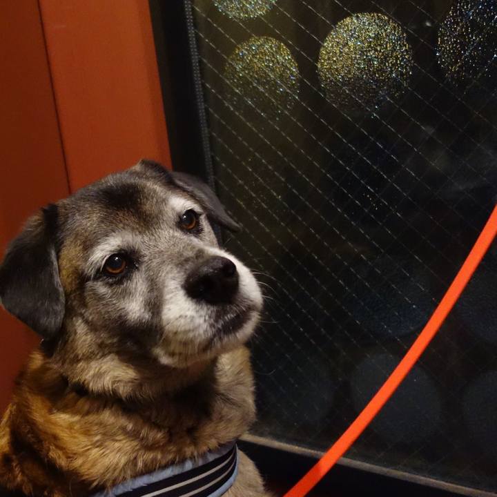 E50682bb ff81 40d1 9eb7 28b73cd0cb6c 1548499002510