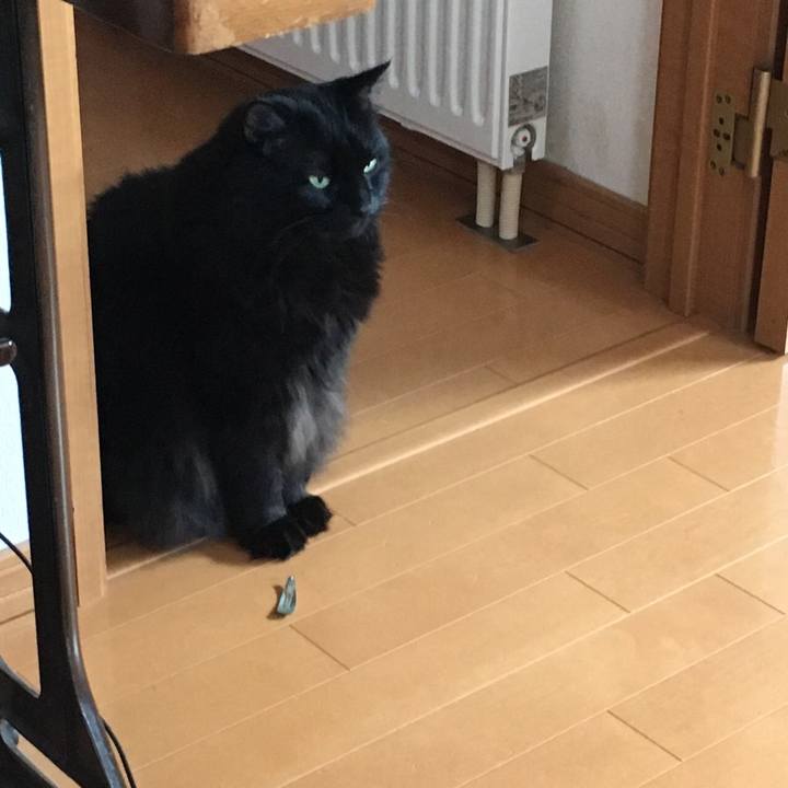 E5069b86 90fe 49b0 9287 eee8c5c9ede5 1537396806398