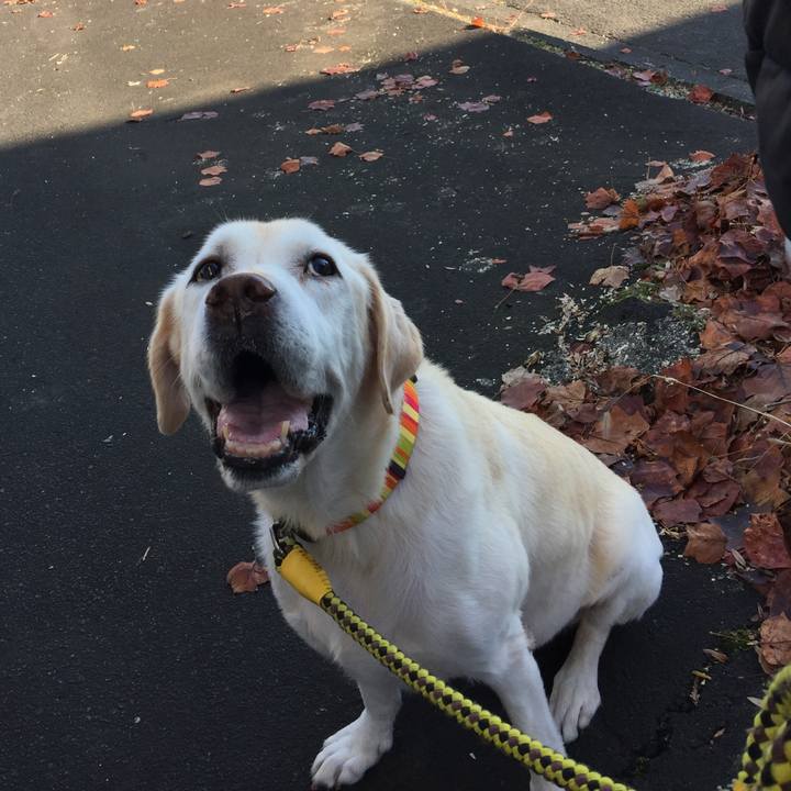 E506a2de 5cfb 40de a262 d9c64da37828 1582000078289