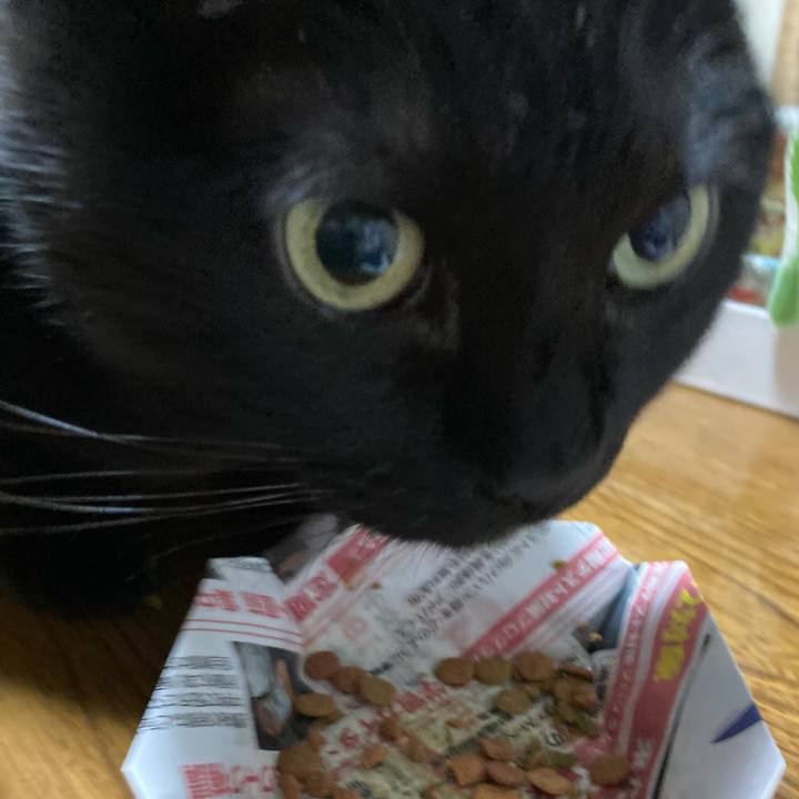 E506d1ad b74c 454d 91a2 fd8d9771a860 1699695084977