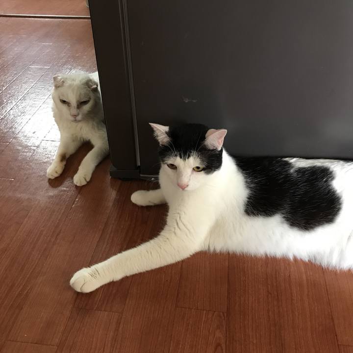 E5071654 93e4 496b b977 3d24949976fe 1535755337161