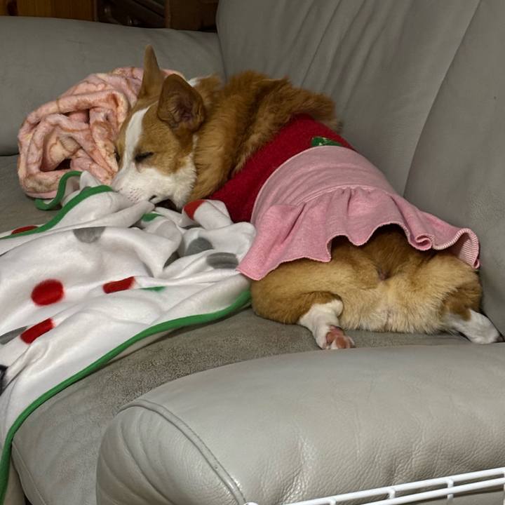 E5075216 f0ec 4e3d a016 5472e03d14a9 1766162716880