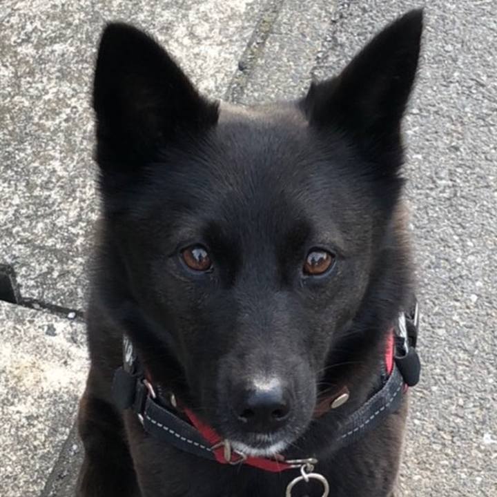 E507888a ef0a 4bdb b722 6997713ad130 1585365163600