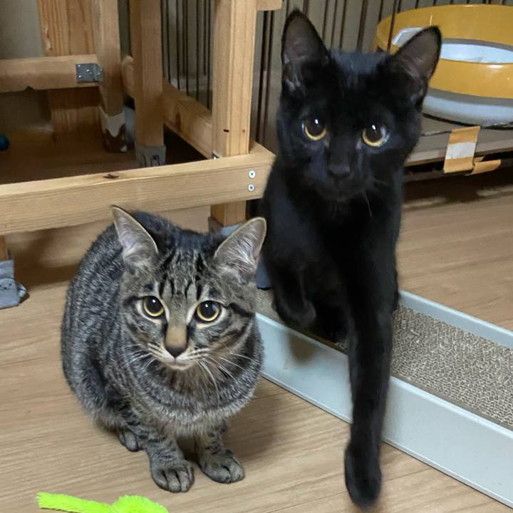 E50795d5 ea82 4e75 946b 921577db7ce9 1615029713638