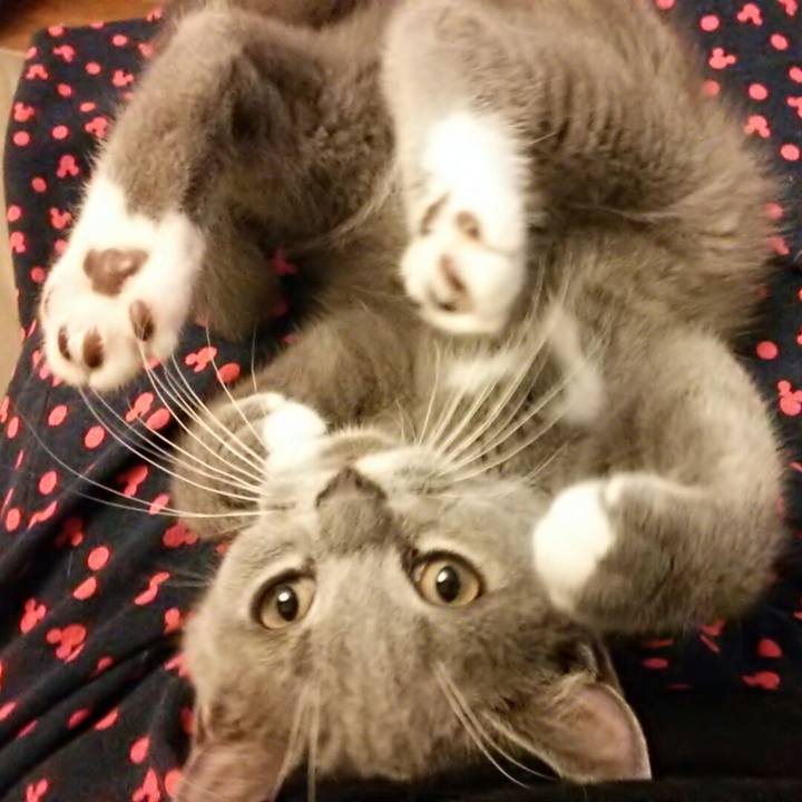 E5079e75 e5d3 4a57 9305 d68c95945c5a 1532810484893