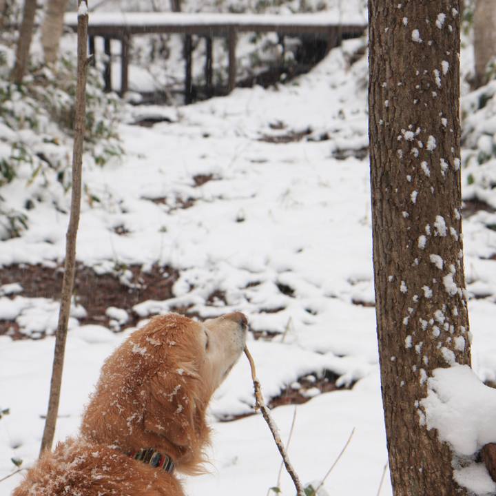 E507d663 8f75 4024 b7dc 16559ad29914 1765787713571