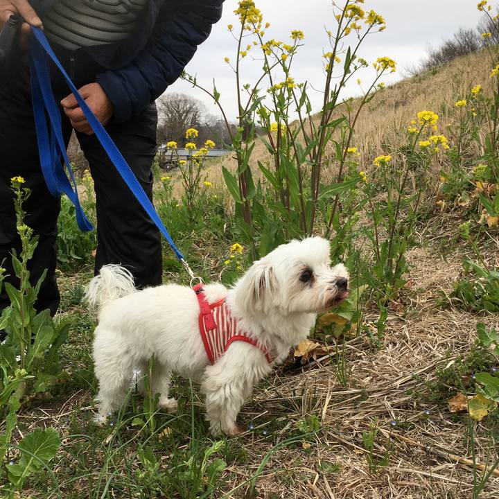 E50847f5 8e50 4b37 b801 ecf738c175a6 1616241403630