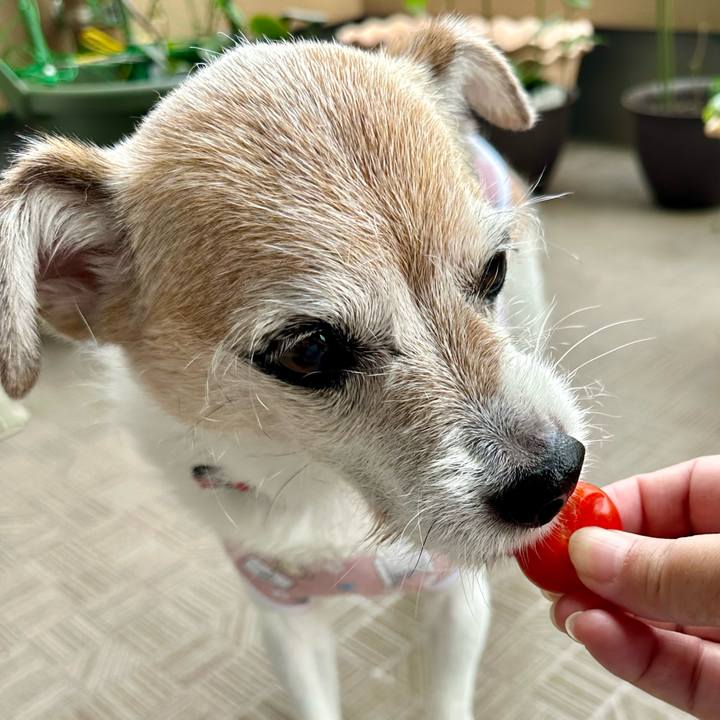 E5087482 3856 4d7f b8db e5cbe43886da 1718593253889