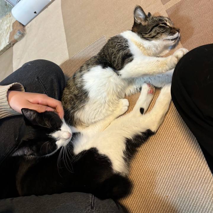 E508a763 1229 4e1f 8804 178b5b6ba2c6 1744118939922