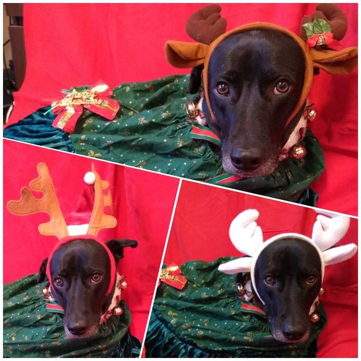 E508c076 2c30 4dde 8910 2d66ccade5e6 1608855497436