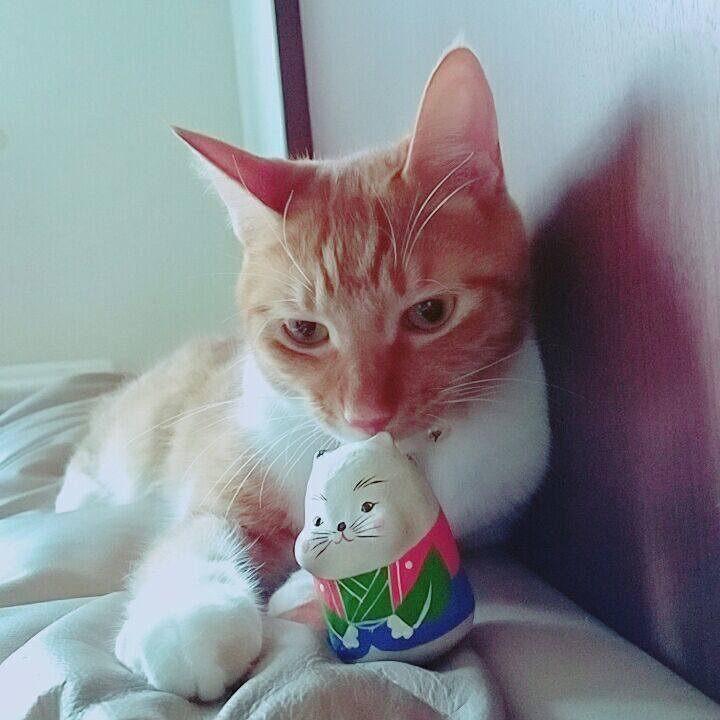 E508c184 4d78 40e8 bd59 0add790fb841 1567403224855