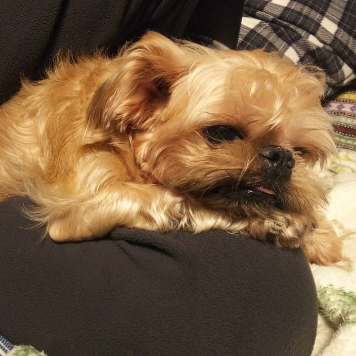 E508c3ce abfa 45e6 b14b 29f2aca7fb8f 1541425787571