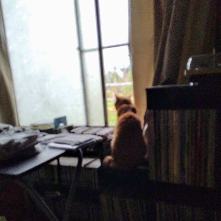 E508cd52 11c5 4a7a adea 26fcac8299e4 1719989703960