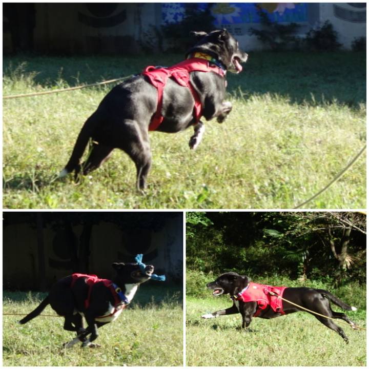 E508cf6c d128 49f4 bf56 2c173c9b380e 1666229030106