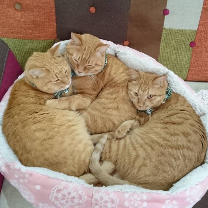 E508f501 538e 4ab5 a7fa 326bd638cf06 1580295345215