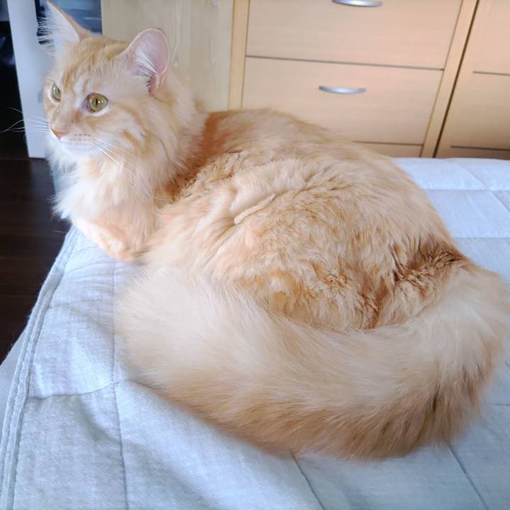 E508fd2d 1fa5 469d b993 717235bd29d5 1660954384145