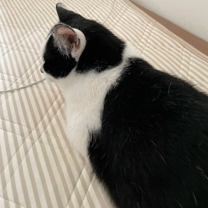 E5090ee1 f411 43e1 9a12 f97169cd0aaa 1657839183355